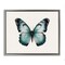 Stupell Industries Teal Symmetrical Butterfly Framed Floater Canvas Wall Art Design by Elizabeth Medley